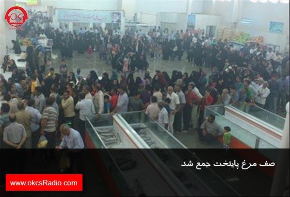 صف مرغ پایتخت جمع شد