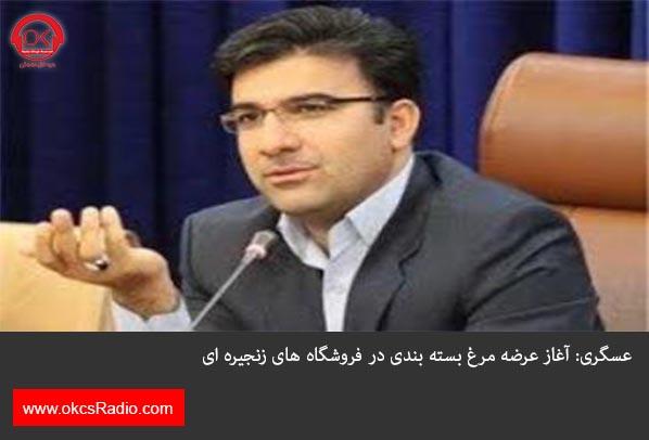 عسگری: آغاز عرضه مرغ بسته بندی در فروشگاه های زنجیره ای
