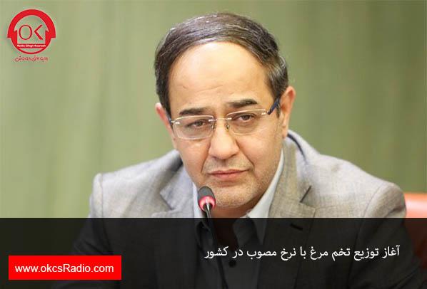 مدیرعامل شرکت پشتیبانی امور دام: :آغاز توزیع تخم مرغ با نرخ مصوب در کشور