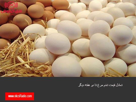 ۱۰ هزار تن تخم مرغ وارد می شود/ تعادل قیمت تا دو هفته دیگر