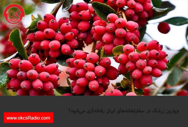 ویترین زرشک در سفارتخانه‌های ایران راه‌اندازی می‌شود؟